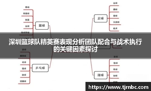 深圳篮球队精英赛表现分析团队配合与战术执行的关键因素探讨